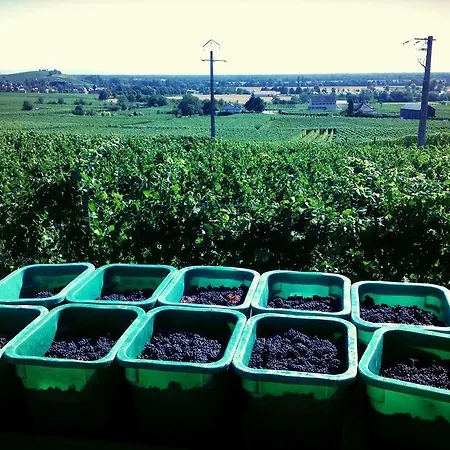 Relais Du Vignoble 3*